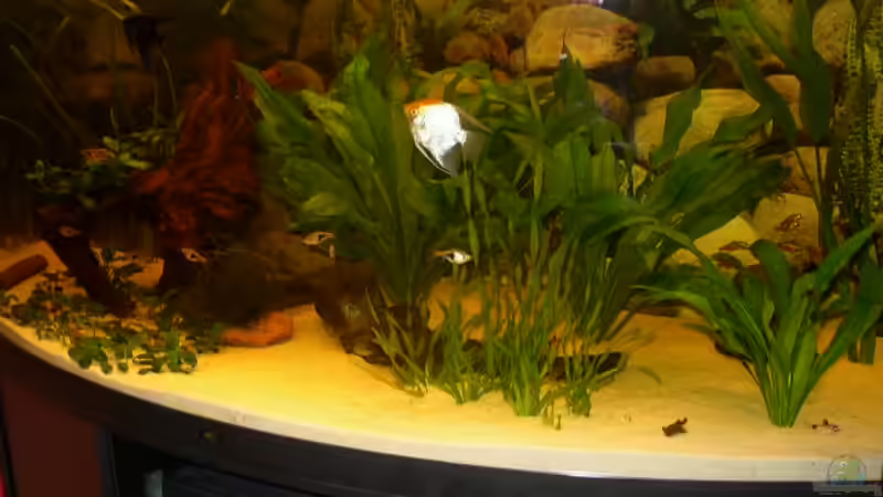 Unser grosses 450 Liter Becken Unser grosses 450 Liter Becken