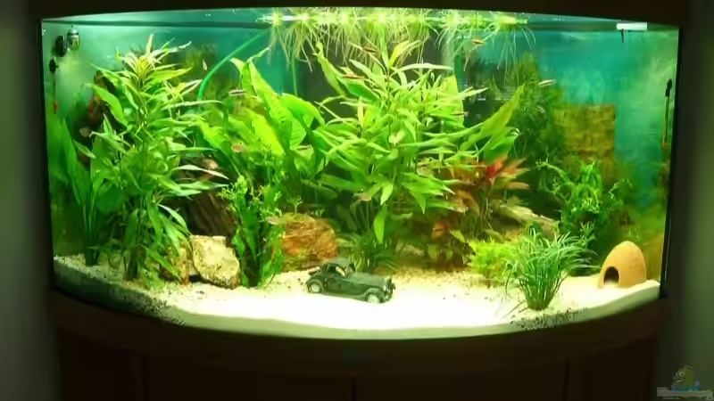 Unser Juwel :-) Unser Juwel :-)