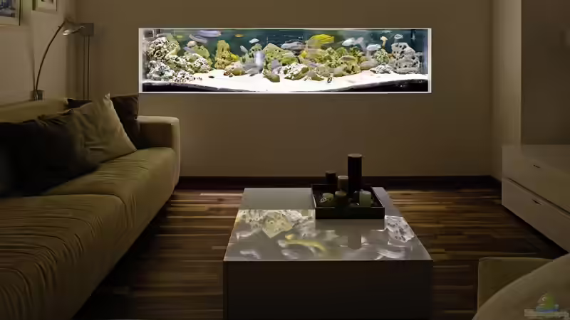 Unser Malawisee AQ im Wohnraum Unser Malawisee AQ im Wohnraum