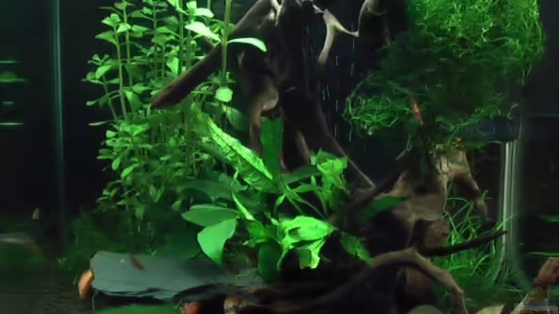 Unser Nano 30l Unser Nano 30l