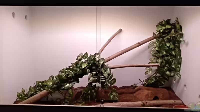 Unterschiedliche Bodensubstrate im Terrarium: Auswahl, Pflege und Einsatzmöglichkeiten