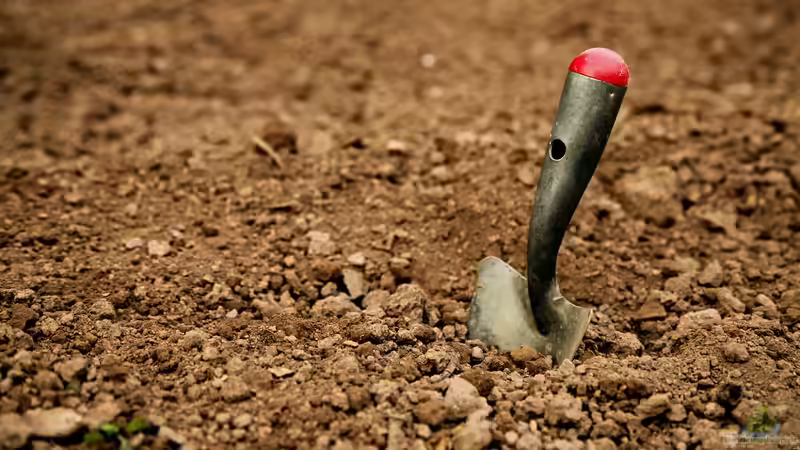 Unterschiedliche Böden: Tipps und Hinweise für Hobbygärtner