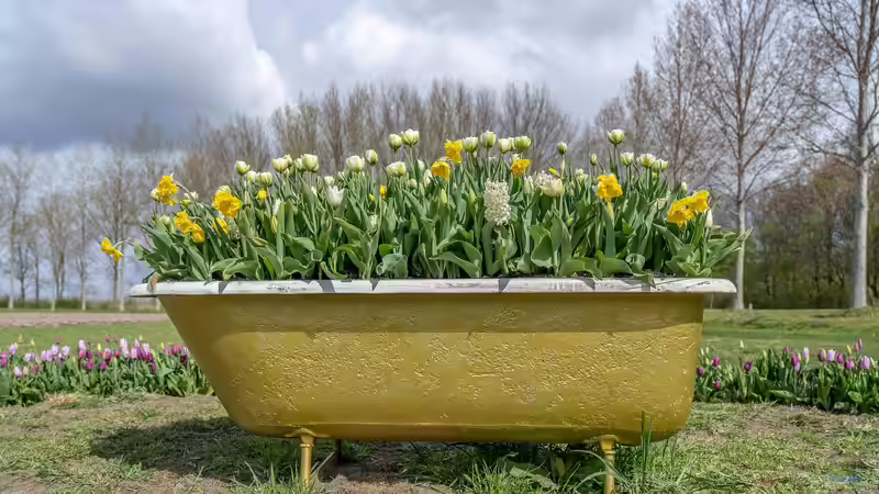 Upcycling: Das kannst du nachhaltig in deinem Garten umsetzen