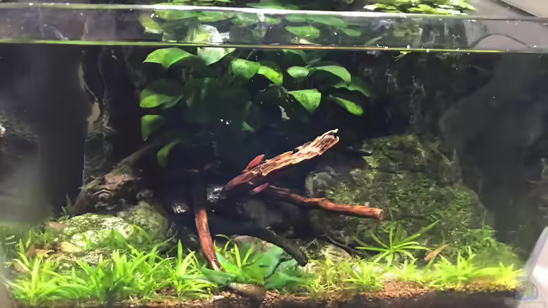 Update 01.08.19 Update 01.08.19