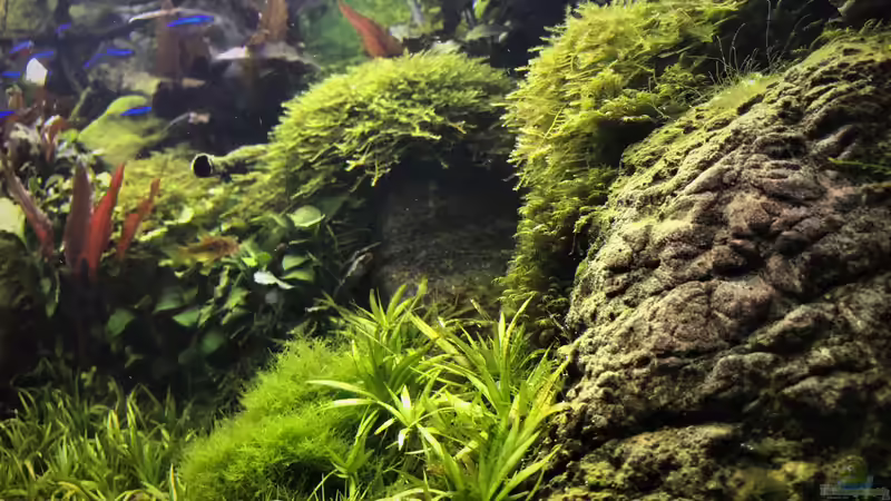 Update 09.09.19 Update 09.09.19