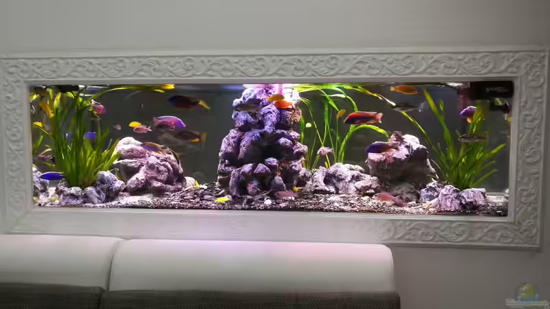 Update 10.8. 2017 Update 10.8. 2017