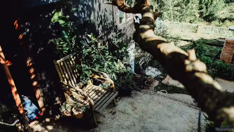 Vintage-Möbel für Terrasse und Garten - Warum der Retro-Look draußen gerade so angesagt ist