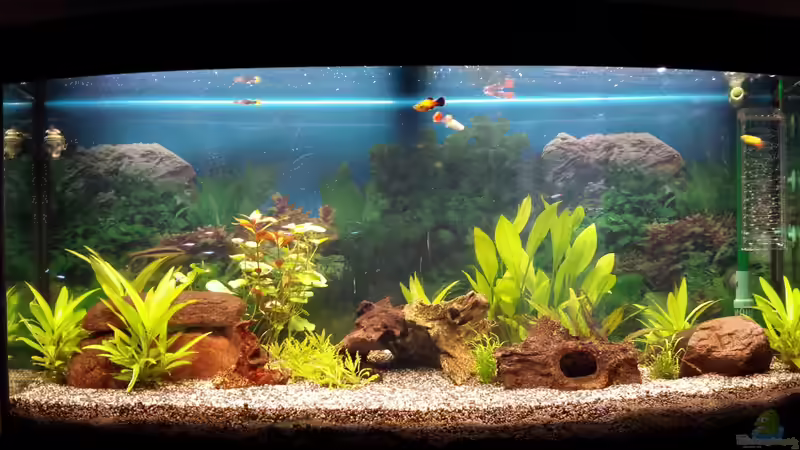 Vision 260 Vision 260