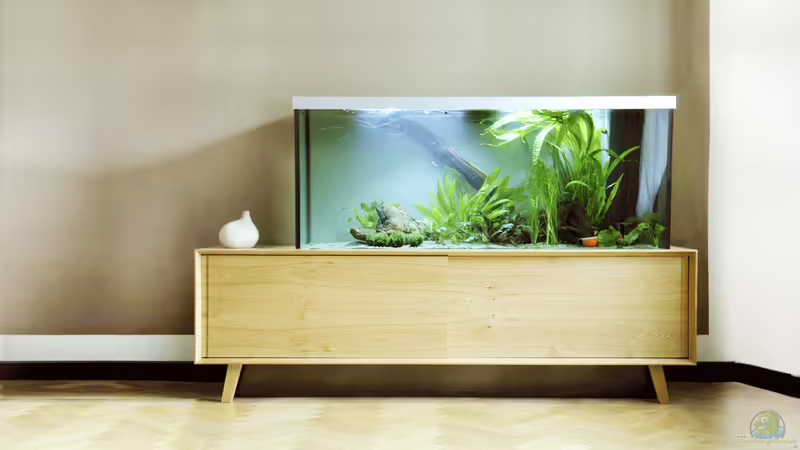 voilá, unser Wohnzimmerschatz voilá, unser Wohnzimmerschatz