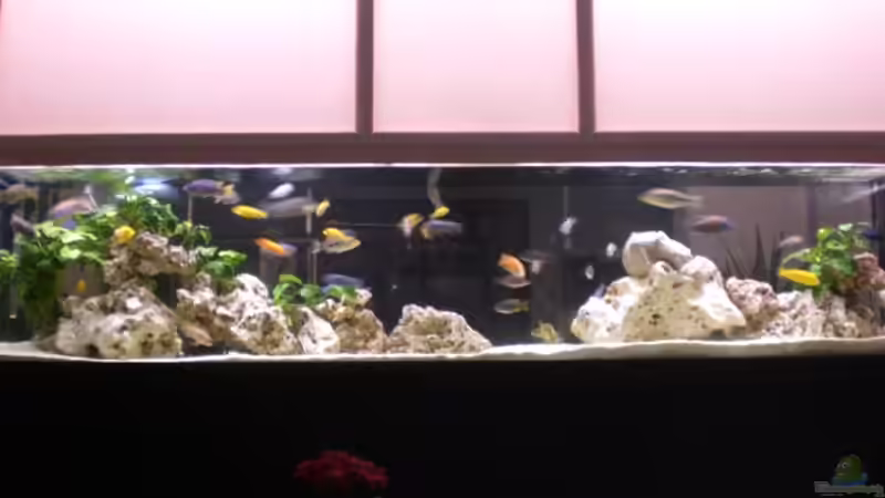 voll entspannt voll entspannt