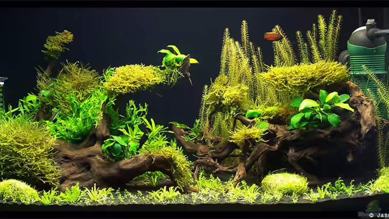 Vollansicht Vollansicht