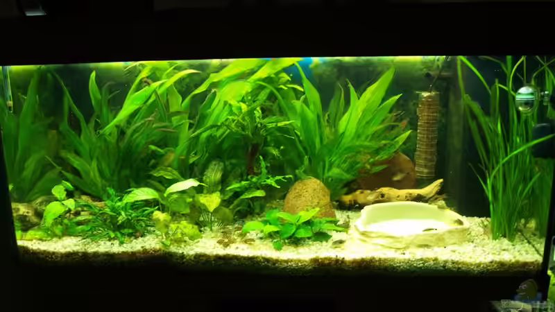 Vollansicht Vollansicht