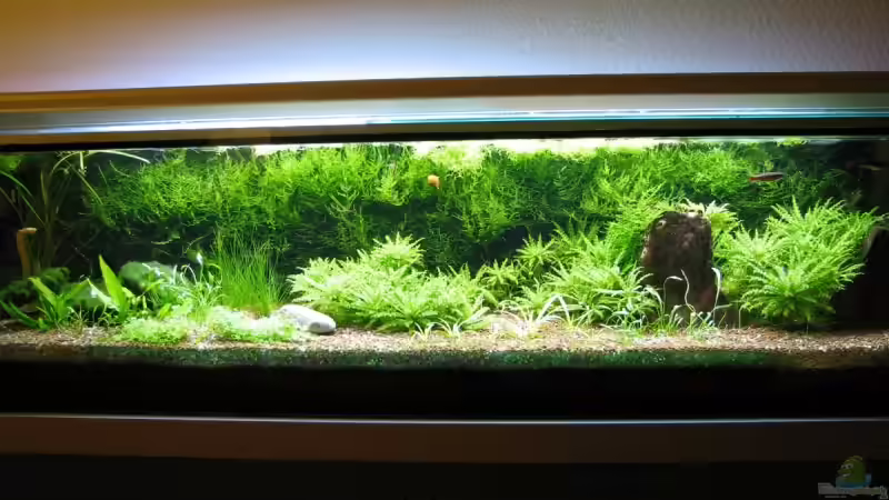 vom 22.3.09 vom 22.3.09