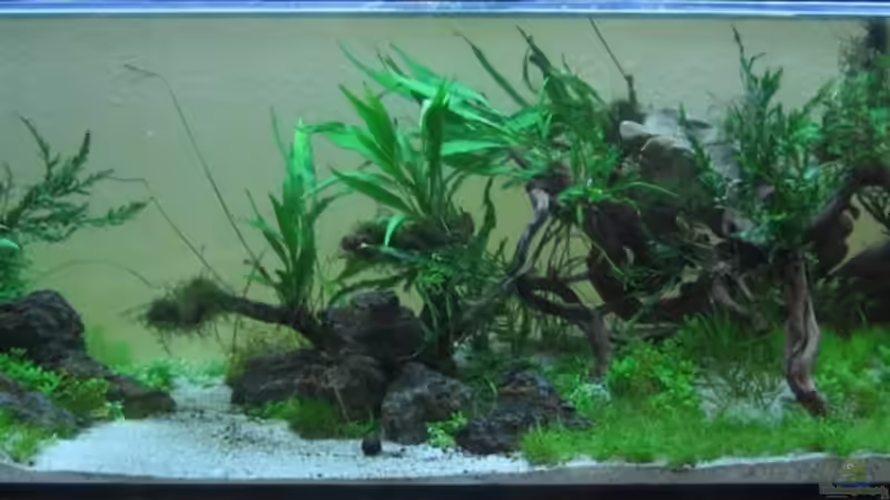 vom 28. Juli 2011 vom 28. Juli 2011