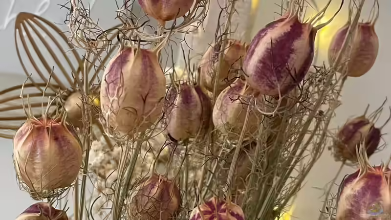 Vom Beet in die Vase - Natürliche Dekorationen mit Trockenpflanzen