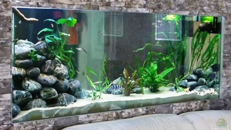 Vom Wohnzimmer gesehen. Vom Wohnzimmer gesehen.