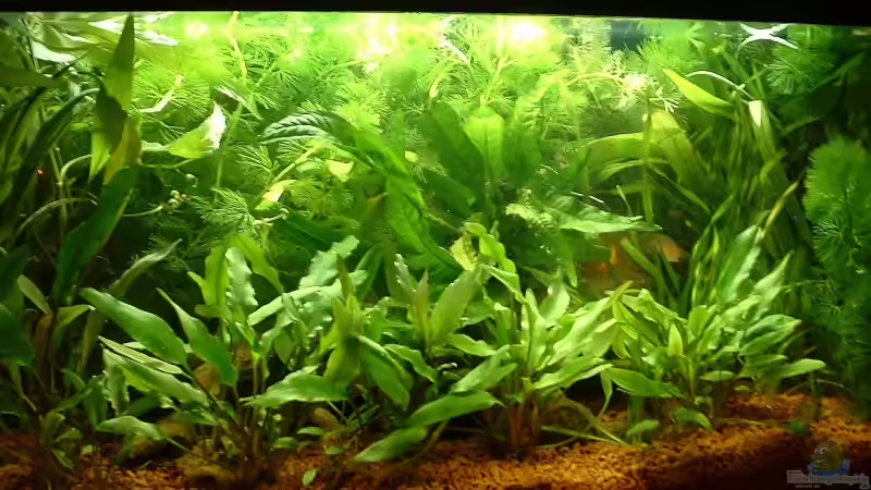 von gestern von gestern