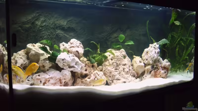 von Hinten von Hinten