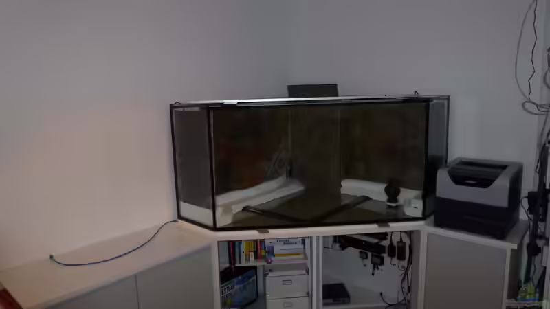 Vor- und Nachteile von Delta-Aquarien: Eine detaillierte Übersicht