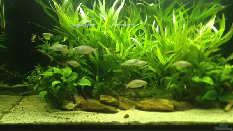 Vorderansicht April 2018 Vorderansicht April 2018