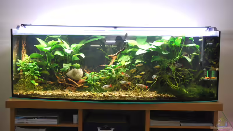 Vorderansicht Dezember 2018 Vorderansicht Dezember 2018