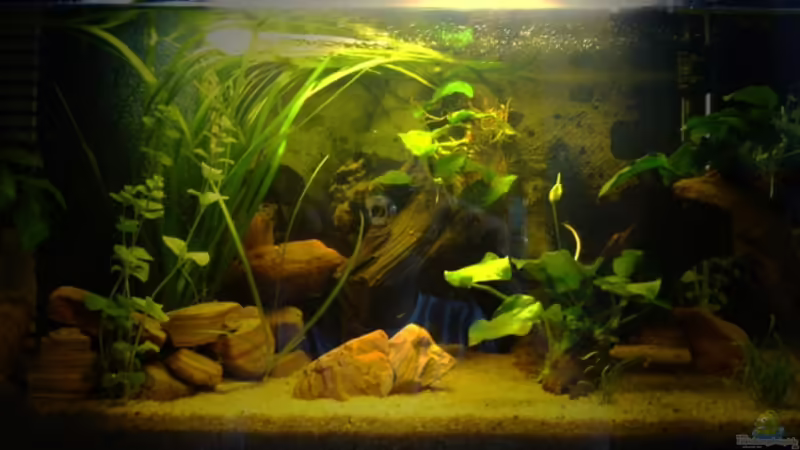 Vorderansicht mit zu viel licht! Vorderansicht mit zu viel licht!