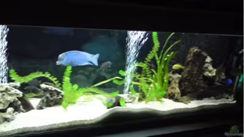 Vorderansicht Vorderansicht