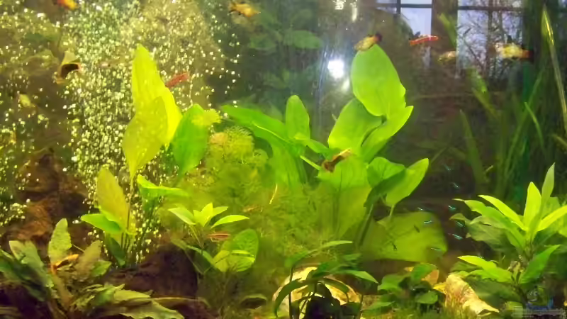 vorderansicht vorderansicht