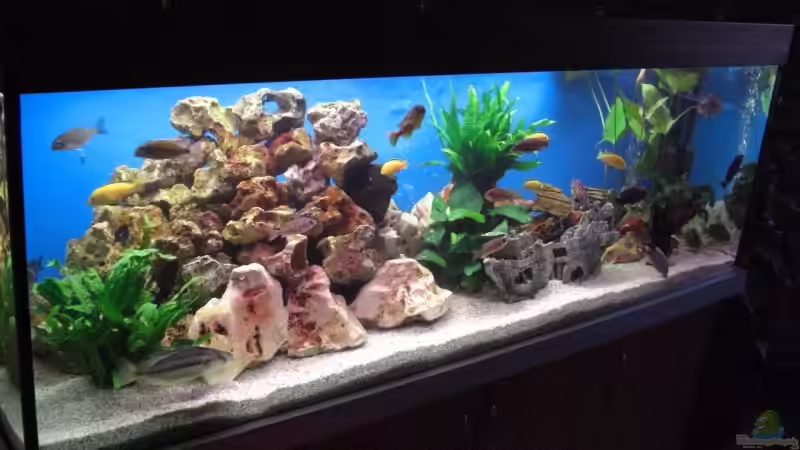 Vorderansicht Vorderansicht