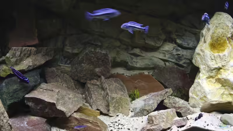 vorl. Hauptbild vorl. Hauptbild