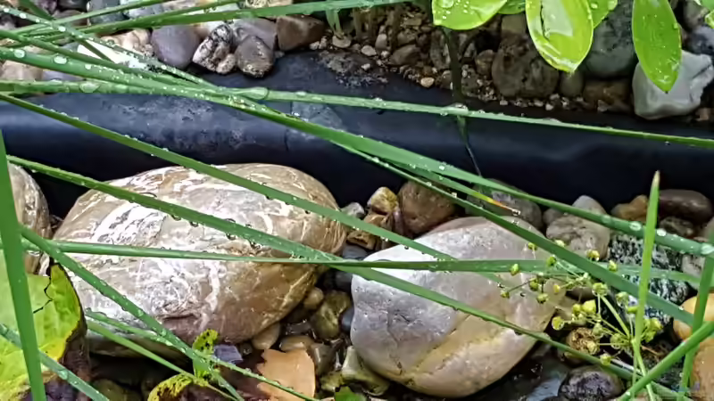 Was ist eine Kapillarsperre am Teich?