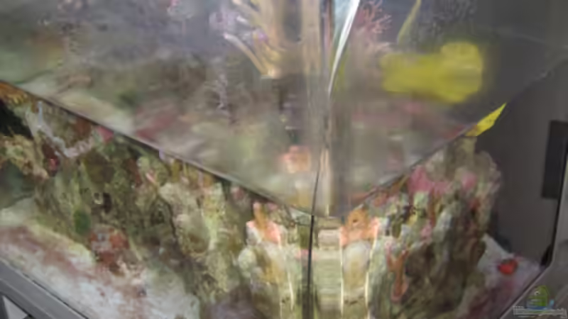 Was tun bei Wasserschäden durch ausgelaufene Aquarien?