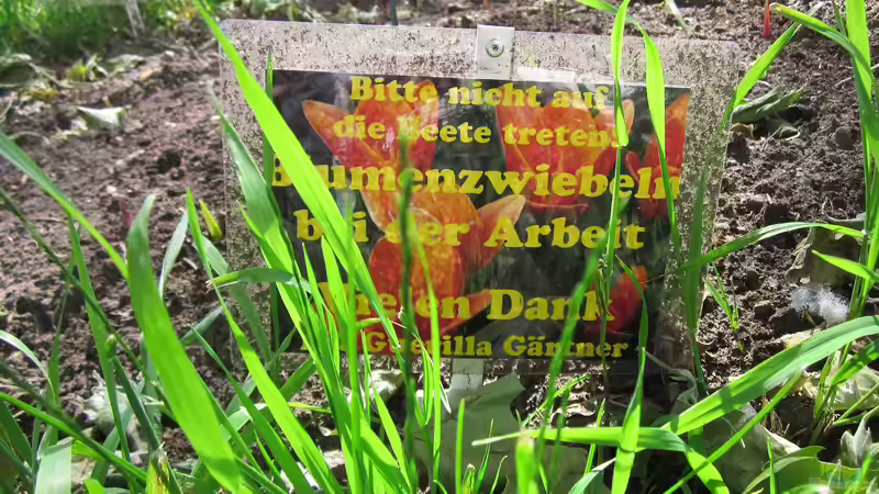 Was versteht man unter Guerilla Gardening?