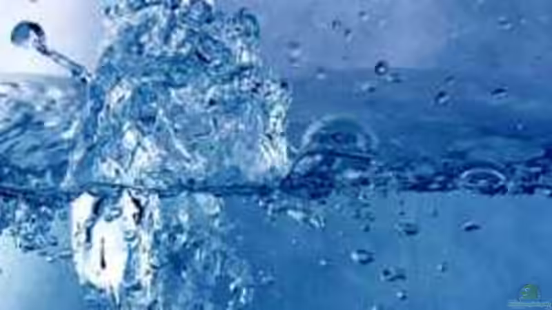 Wasser?!? Chemie oder doch Biologie