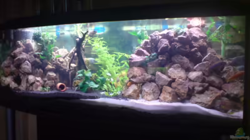 Wehr kann mir noch tipps geben würde mich sehr freuen Wehr kann mir noch tipps geben würde mich sehr freuen