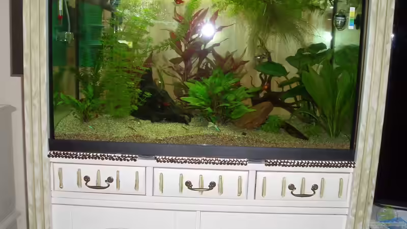 Weinregal-Aquarium Weinregal-Aquarium