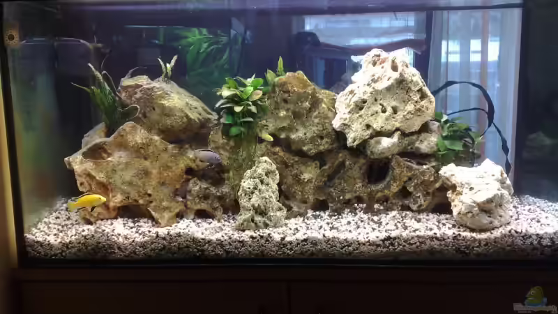 Weitere Bilder folgen bald Weitere Bilder folgen bald