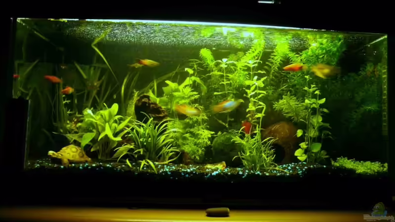 Weitere Bilder Folgen Weitere Bilder Folgen