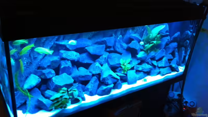 Weitere Bilder werden folgen, das Blaue Licht ist in echt nicht so hell! Weitere Bilder werden folgen, das Blaue Licht ist in echt nicht so hell!