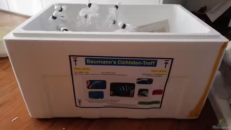 Wenn lokale Zoohandlungen nichts anbieten: Malawibuntbarsche online bestellen