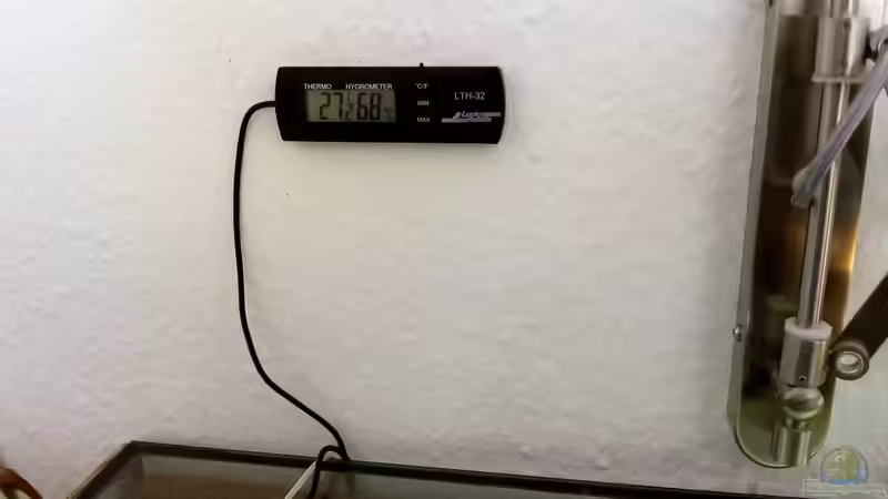 Wie finde ich das richtige Hygrometer für mein Terrarium?