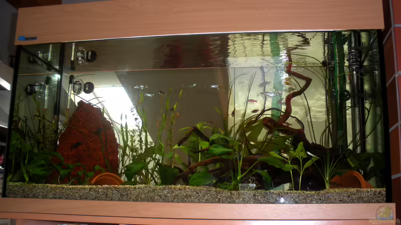 Wie ihr seht, ohne Hintergrund, als Raumtrenner aufgestellt. Blick Wohnzimmer in Küche Wie ihr seht, ohne Hintergrund, als Raumtrenner aufgestellt. Blick Wohnzimmer in Küche