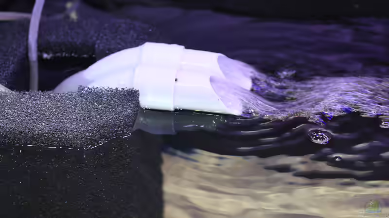 Wie ist ein Aquariumfilter aufgebaut?