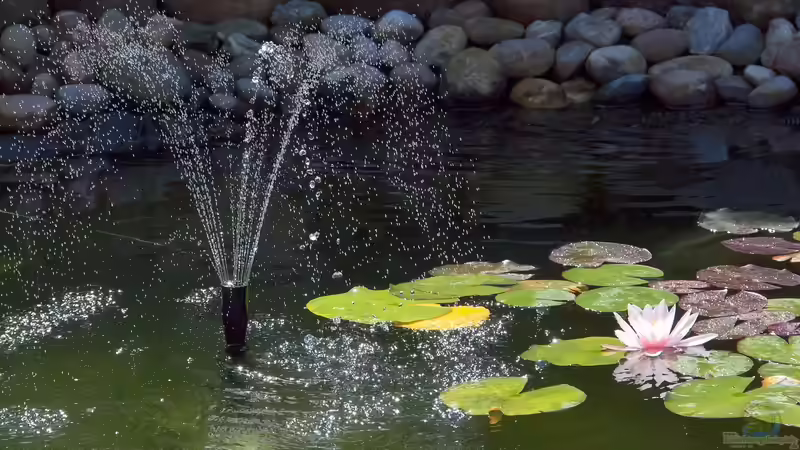 Wie kann man einen Springbrunnen im Garten oder Teich installieren?