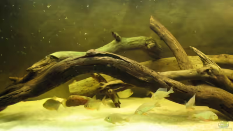 Wieder ein minimalistisches Becken von mir. Wieder ein minimalistisches Becken von mir.