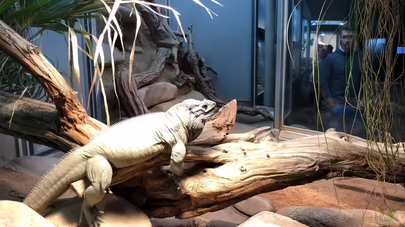 WILHELMA 6 - Zoologisch-Botanischer Garten in Stuttgart