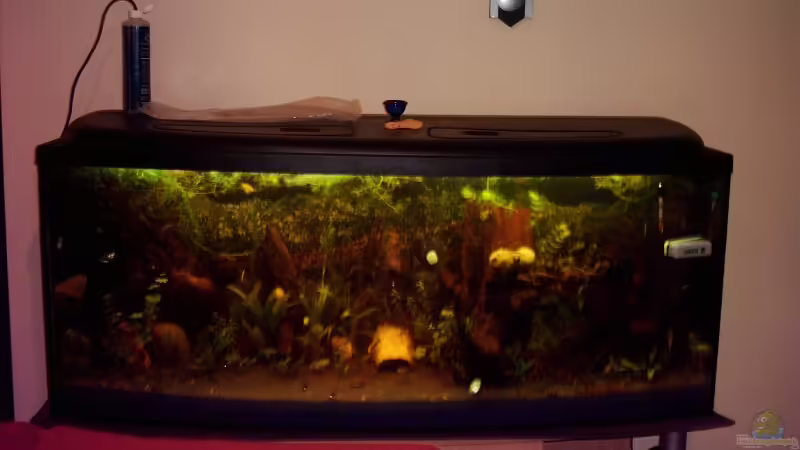 Wohnzimmer und der Fernseher in Kino quallität Wohnzimmer und der Fernseher in Kino quallität