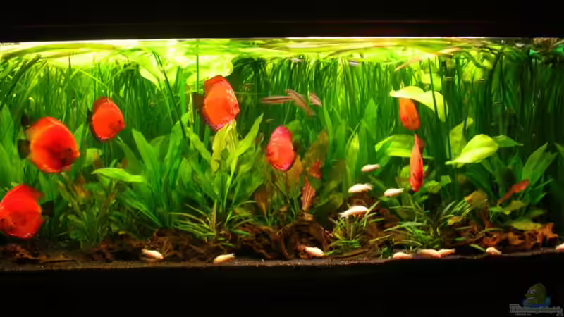 Wohnzimmer Wohnzimmer