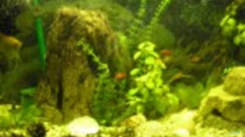 Wohnzimmerbecken Wohnzimmerbecken