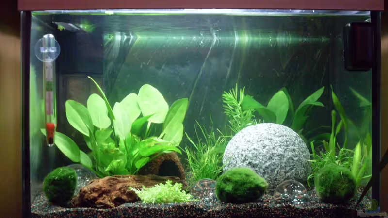 Yellow Fire Bubble Space Yellow Fire Bubble Space